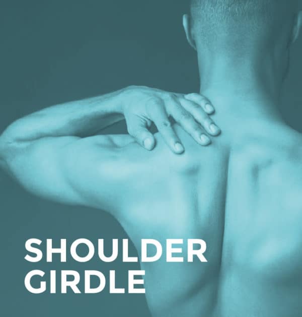 Shoulder Girdle2